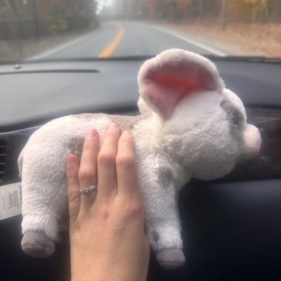 Pua disneys orginal stuffie - Picture 7 of 7